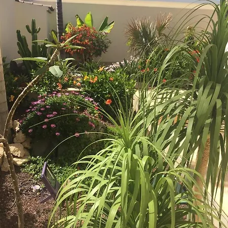 公寓 Juliana 阿德耶