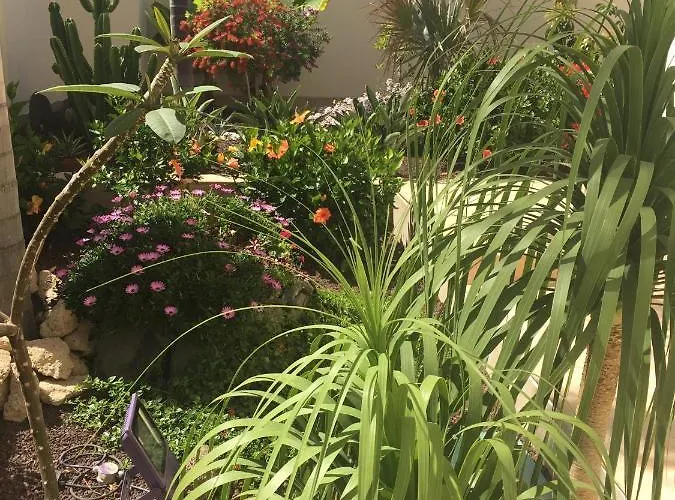 Appartement Juliana Costa Adeje (Tenerife)